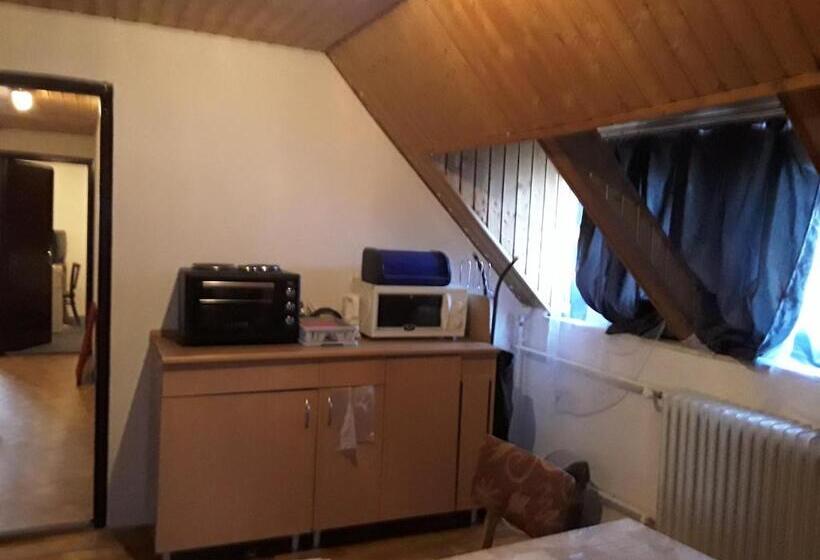 اتاق خانوادگی با سرویس بهداشتی مشترک, Tunnel Family Apartmanház Pécs