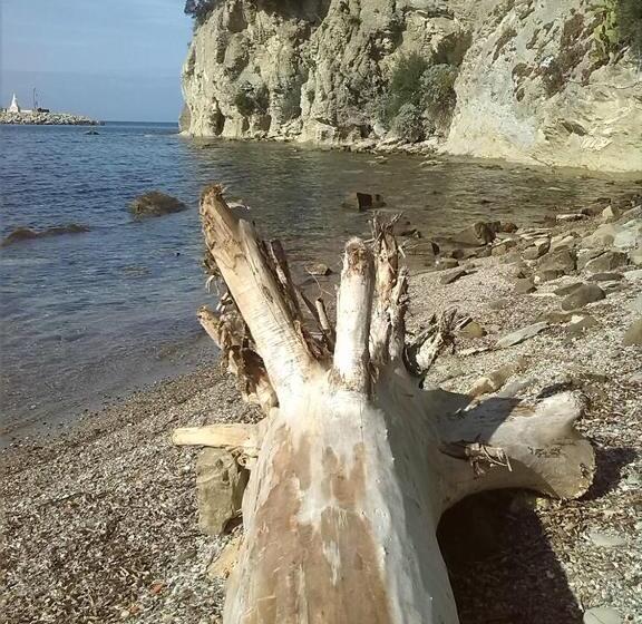 اتاق استاندارد, Kirillos In Cilento