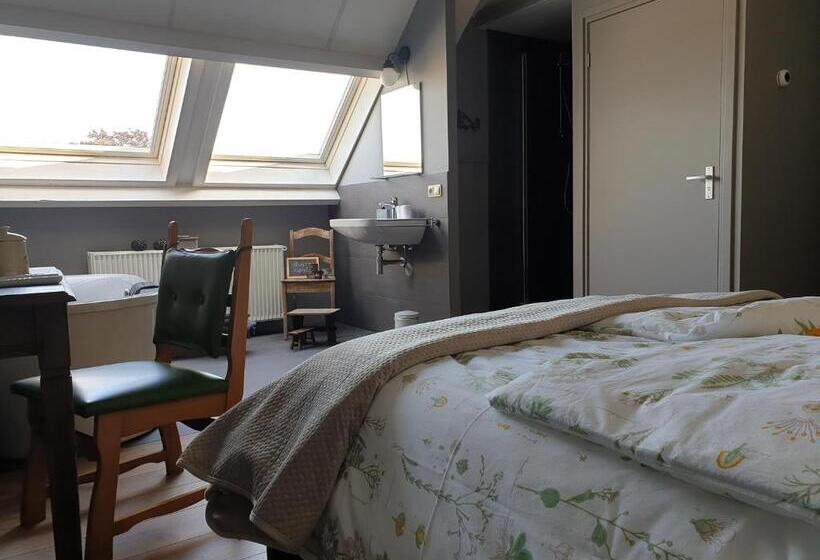 اتاق لوکس, B&b  T Merthoes