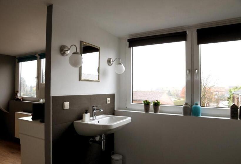 اتاق لوکس, B&b  T Merthoes