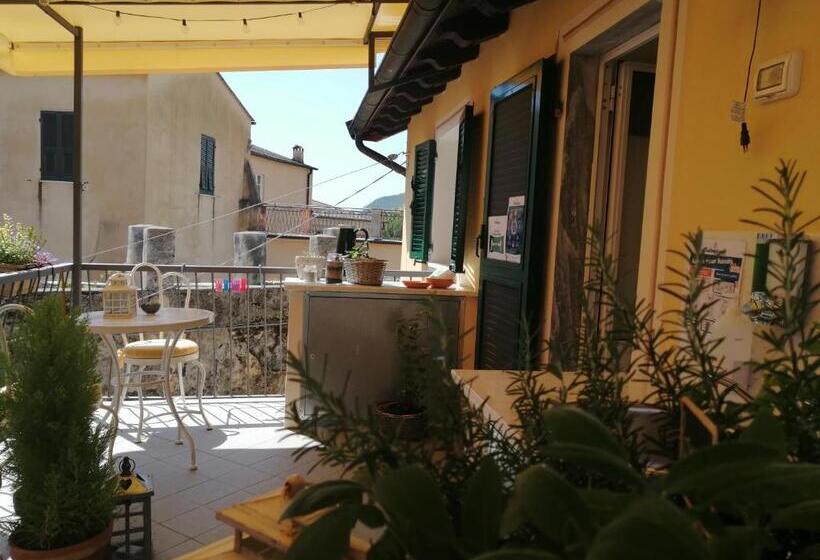 Номер Стандарт, Casello68