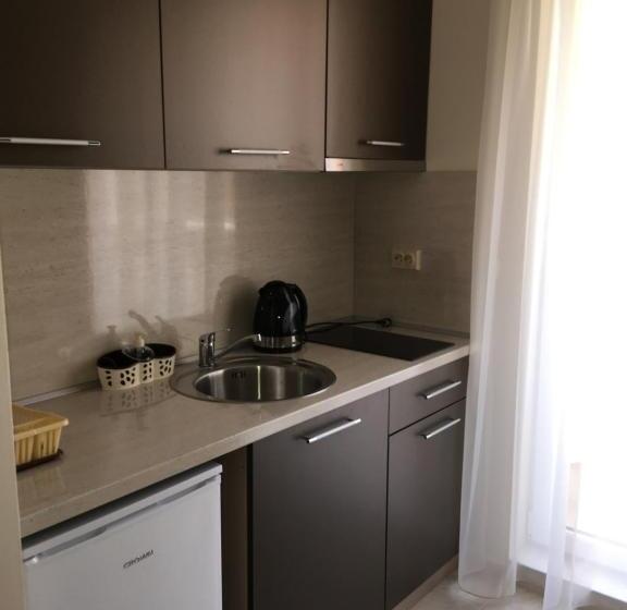 Апартаменты 1 Спальня с Террасой, Vase Apartments