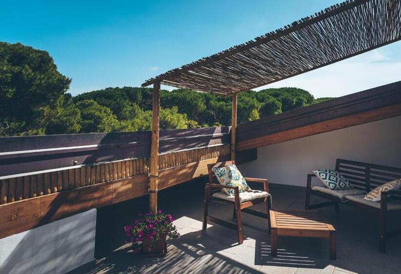 اتاق استاندارد با تراس, Antica Villa Colonica