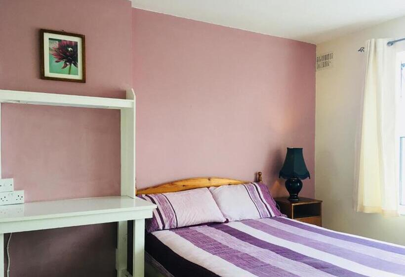 اتاق اکونومی, Avondale Accommodation