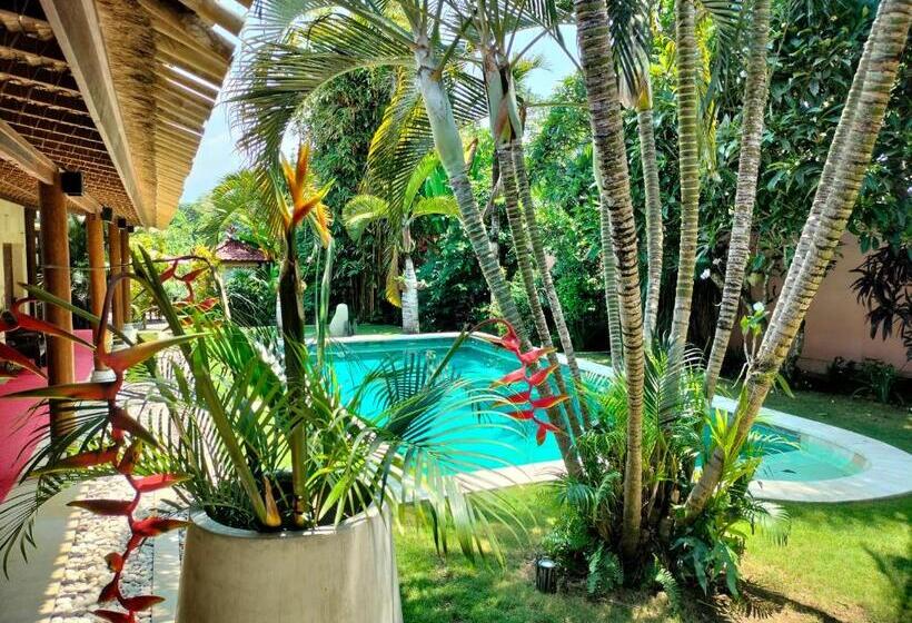 Номер Стандарт Вид на Бассейн, Villa Pilou Boutique
