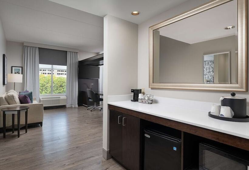 Studio Standard, Hampton Inn & Suites Chattanooga/downtown