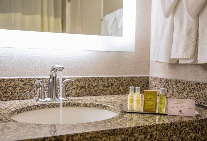 带2个双人床的标准工作室, Doubletree By Hilton Las Vegas Airport