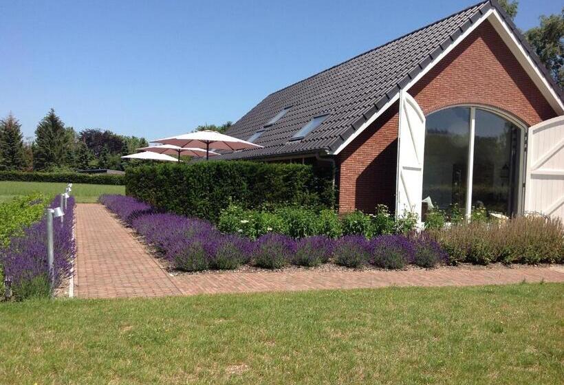 디럭스 룸, B&b De Veluwe Hoeve