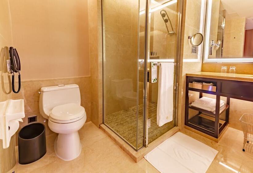 Номер Deluxe, Parklane Hotel Changan