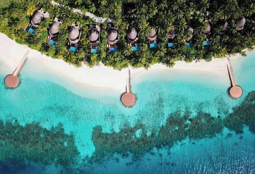 ویلای 1 خوابه, W Maldives