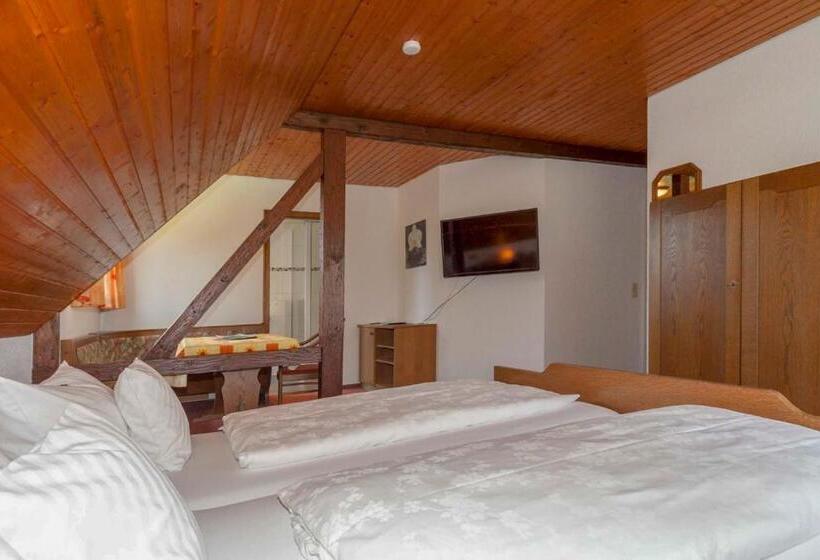 标准间, Pension Panoramablick
