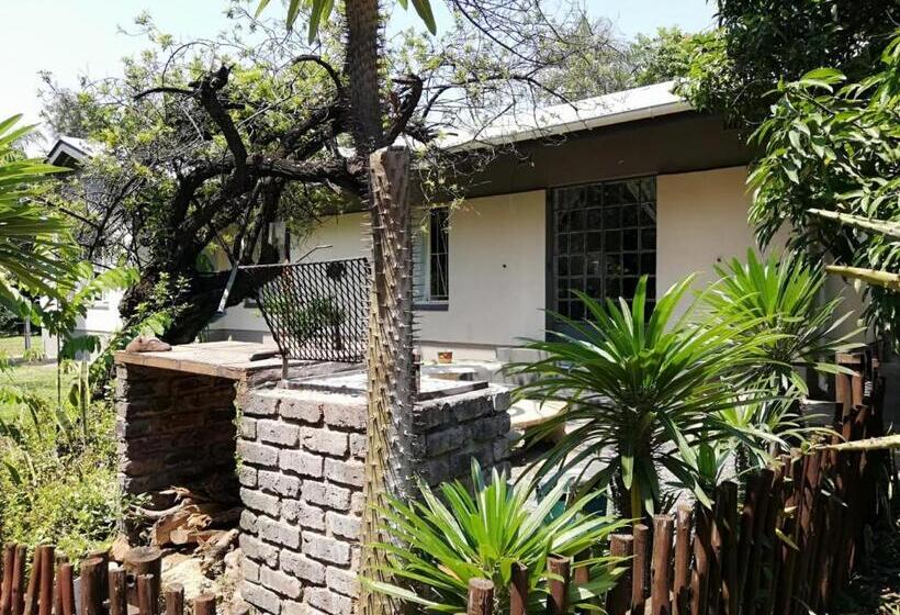 스탠다드 룸, Elephant Walk Guesthouse And Back Packers