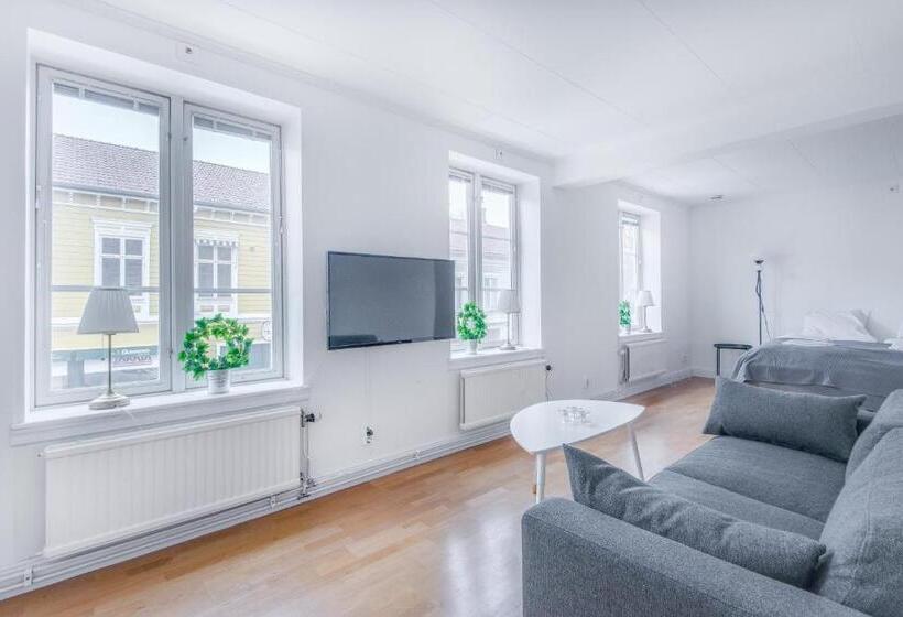 1 Sovrums Deluxe Lägenhet, City Apartments In Jonkoping