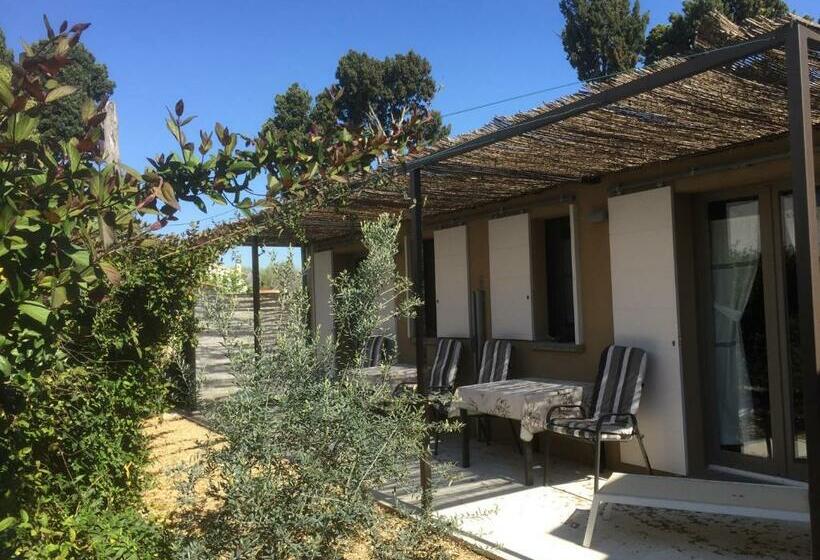 Номер Стандарт с Террасой, L  Oustau Blanc B&b