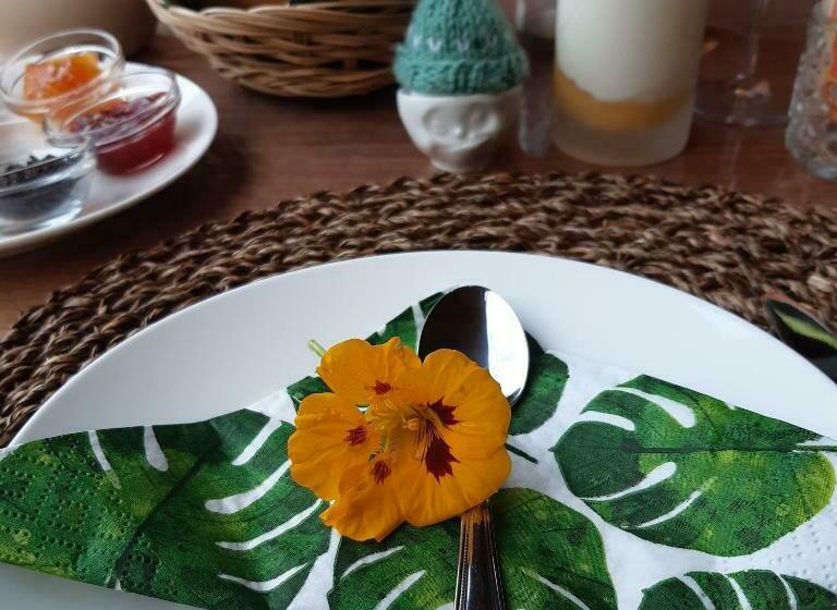 디럭스 룸, B & B Janneke Elsloo Friesland