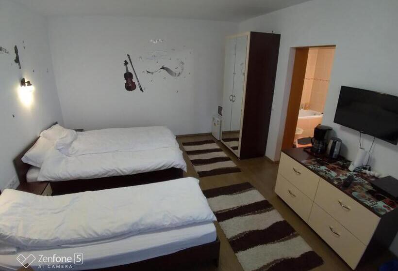 스탠다드 트리플 발코니 룸, Sibiu 33
