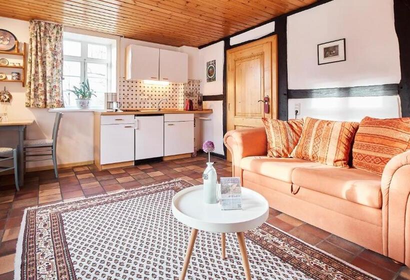 Апартаменты 1 Спальня Нижний Этаж, Appartementhotel Blomberger Hof