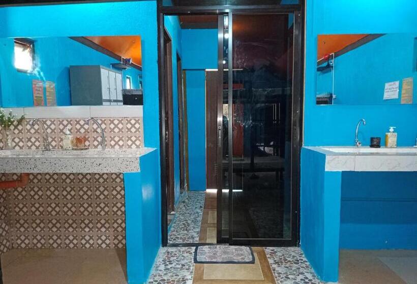 تختخواب در اتاق مشترک, Adrianas Place Backpackers Panglao