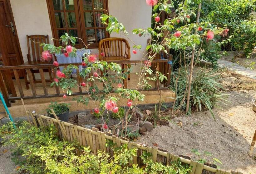 Номер Economy, Arnel Bungalows