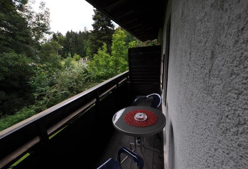 استودیوی استاندارد, Kärnten Appartements