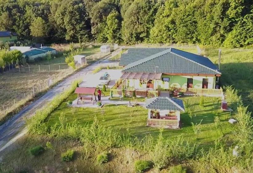 침실 4개 주택, Agropensiunea Valea Fagilor