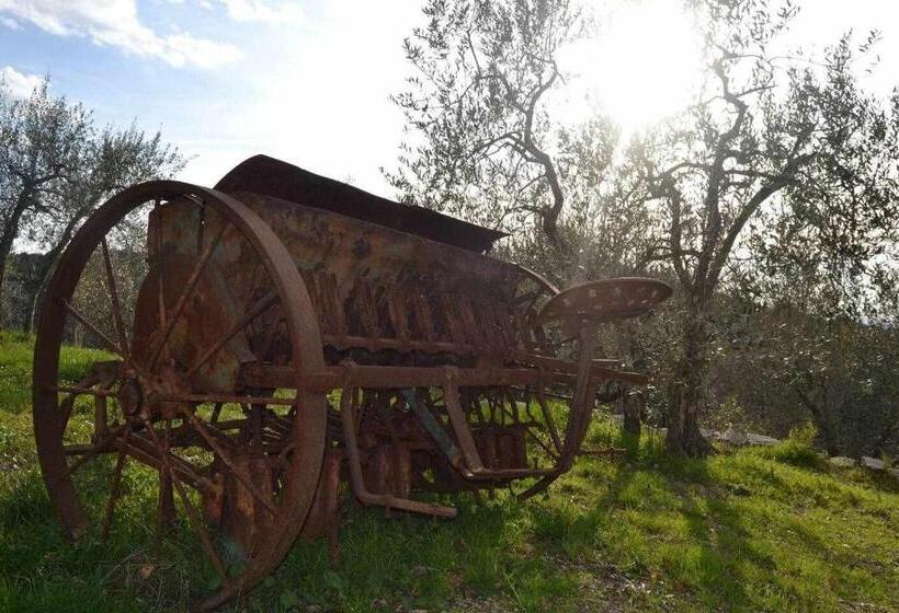 Апартаменты 2 Спальни, Agriturismo San Silvestro