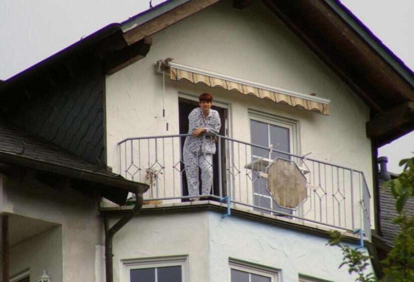 Одноместный Номер с Террасой, Pension Garni Haus Bismarckhöhe