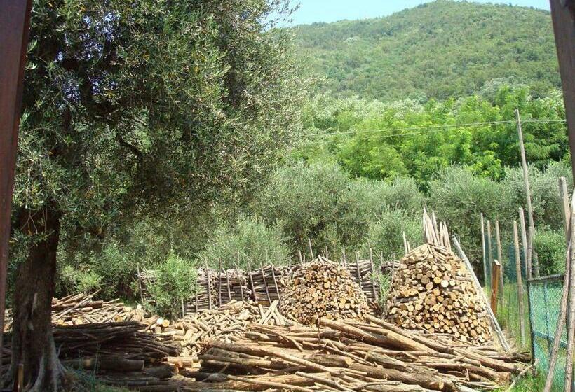 استودیو خانوادگی, Il Castagneto