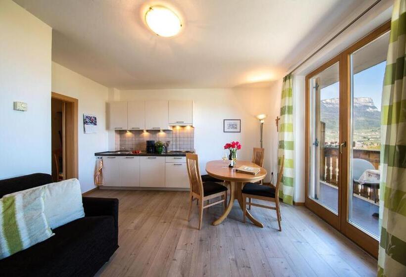 Апартаменты 1 Спальня, Appartements Weisshauserhof