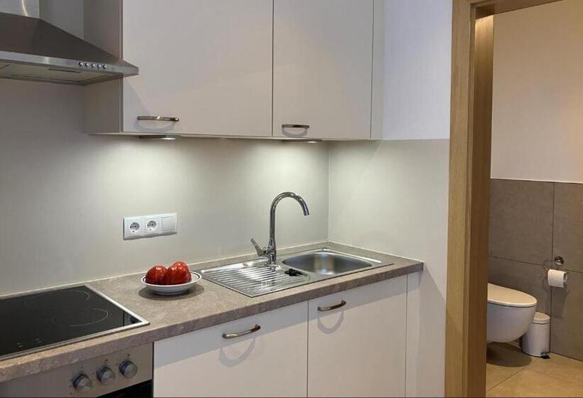 Апартаменты 1 Спальня с Террасой, Appartements Weisshauserhof