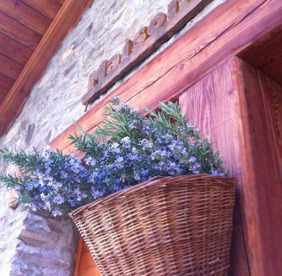 Номер Стандарт, Maison De Noé