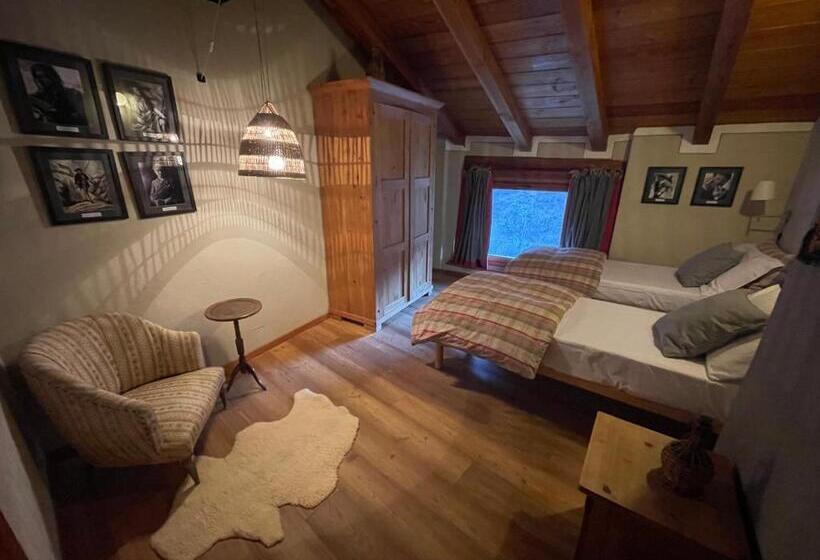 Номер Стандарт, Maison De Noé