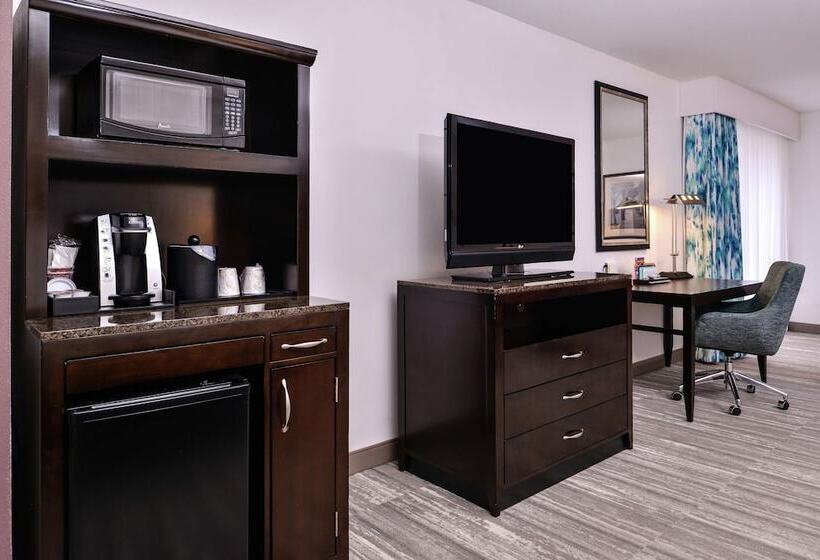 Номер Стандарт Кровать Кинг Адаптированный для Инвалидов, Hilton Garden Inn Jacksonville Downtown Southbank
