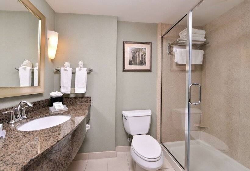 Полулюкс Кровать Кинг, Hilton Garden Inn Jacksonville Downtown Southbank
