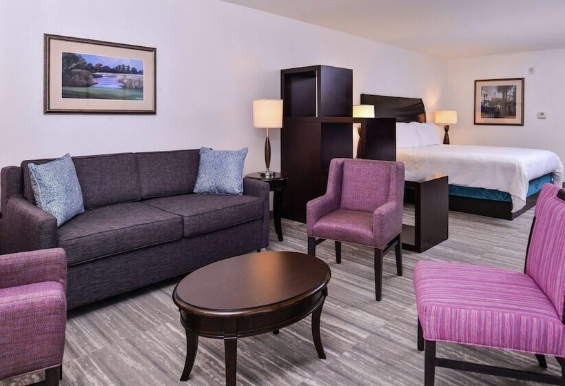 Полулюкс Кровать Кинг, Hilton Garden Inn Jacksonville Downtown Southbank