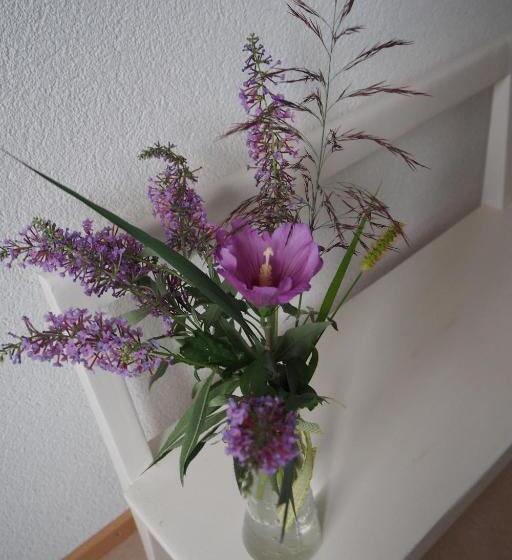 Standard room with outdoor bath, Bnb Entensee
