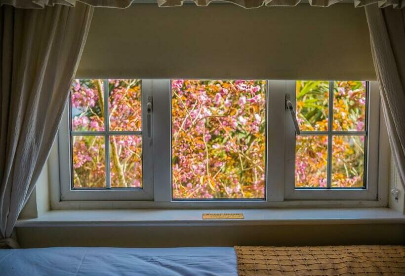 اتاق استاندارد, Ashe S Accommodation