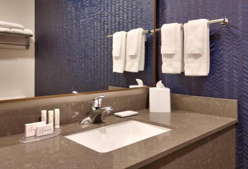 Люкс Кровать Кинг, Fairfield Inn & Suites Roswell