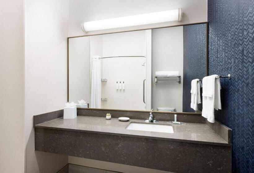 Номер Стандарт 2 Двуспальные Кровати, Fairfield Inn & Suites Roswell