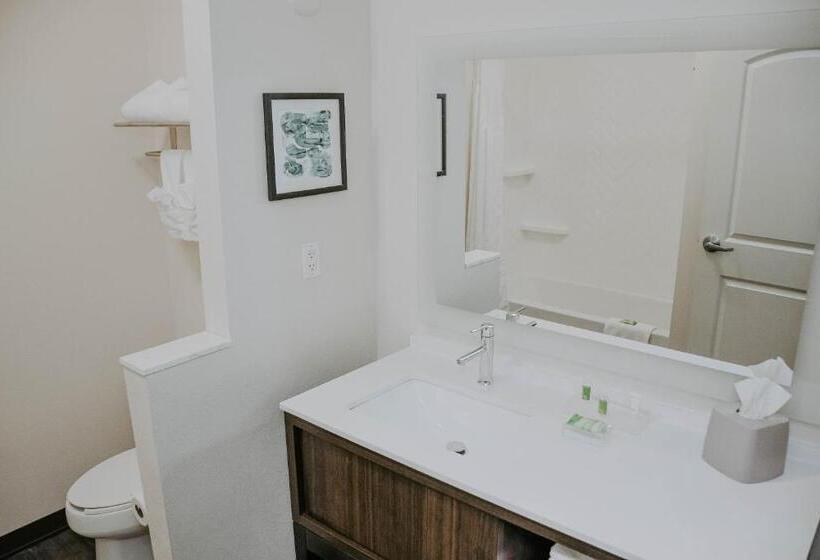 Номер Стандарт, Holiday Inn Omaha Downtown   Waterpark, An Ihg