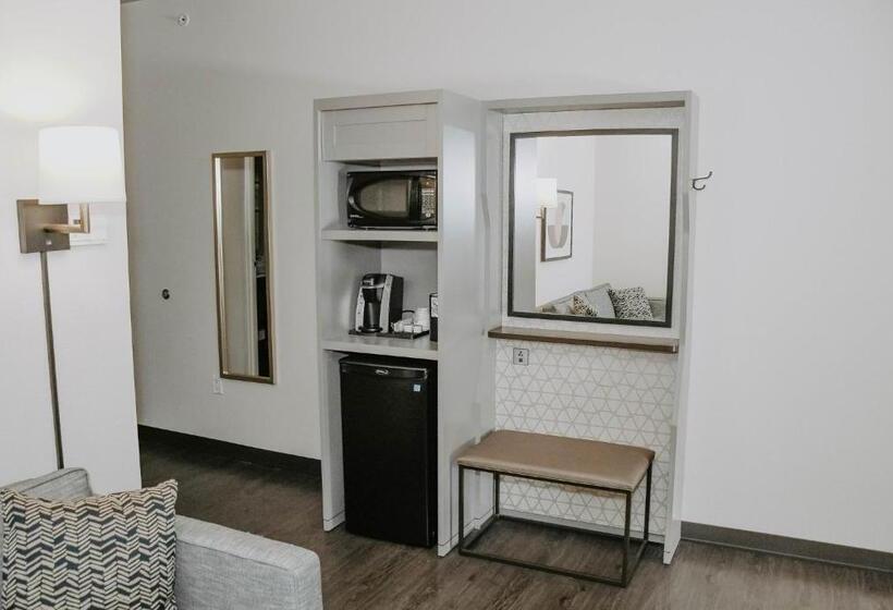 Стандартный Номер Кровать Кинг, Holiday Inn Omaha Downtown   Waterpark, An Ihg