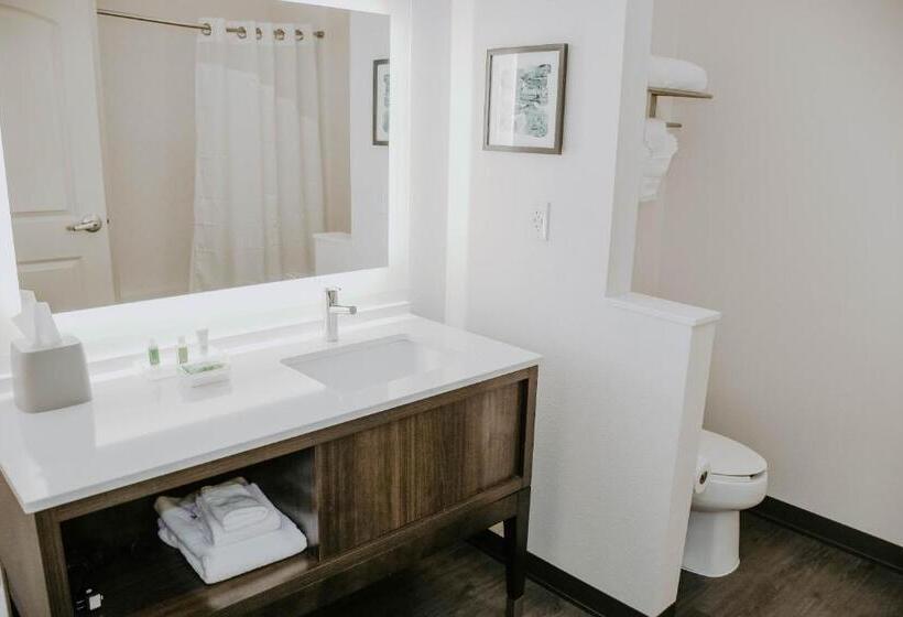 Стандартный Номер Кровать Кинг, Holiday Inn Omaha Downtown   Waterpark, An Ihg