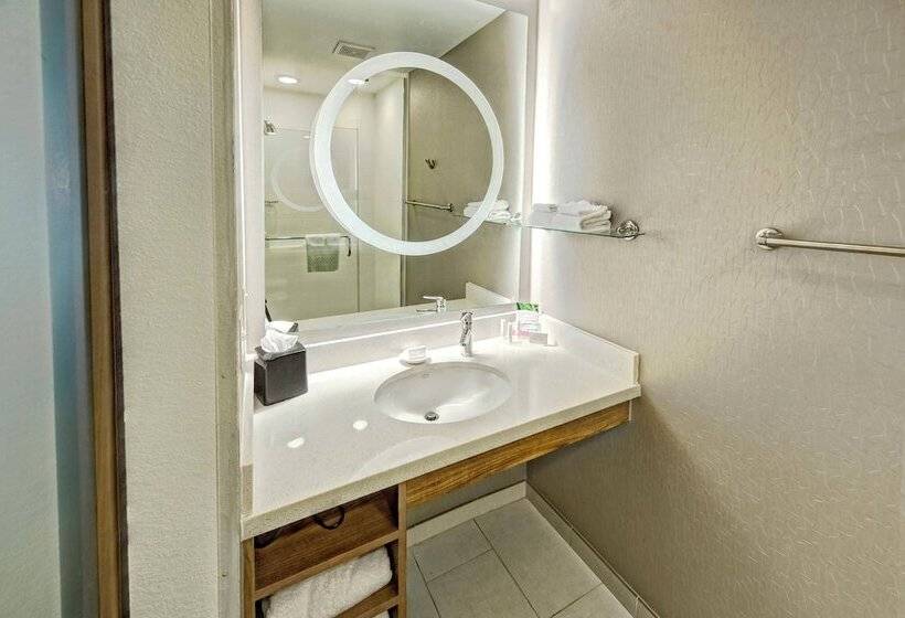 استودیوی استاندارد, Springhill Suites By Marriott Oklahoma City Moore