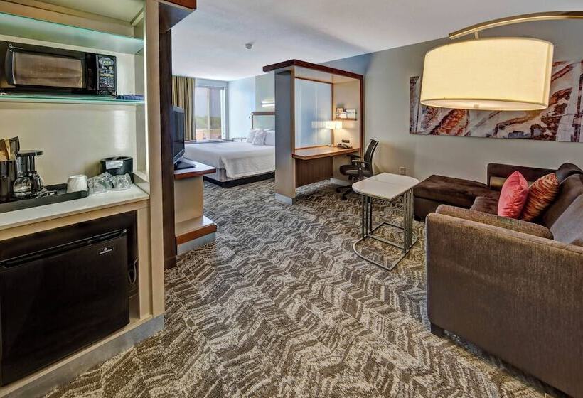 استودیوی استاندارد, Springhill Suites By Marriott Oklahoma City Moore