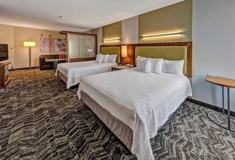 استودیوی استاندارد, Springhill Suites By Marriott Oklahoma City Moore