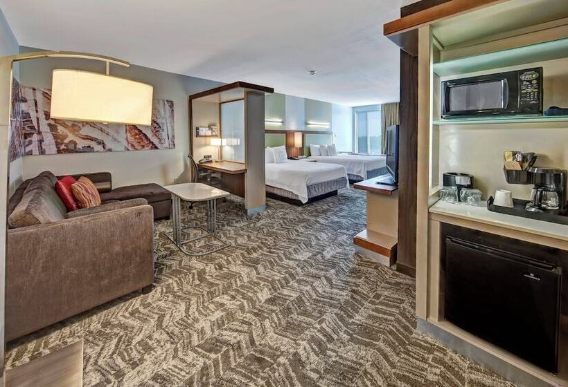 استودیوی استاندارد, Springhill Suites By Marriott Oklahoma City Moore