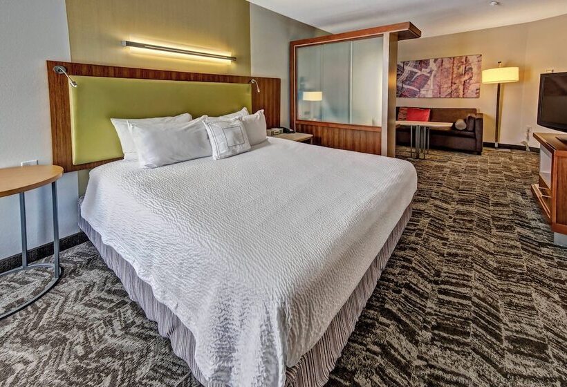 استودیوی استاندارد, Springhill Suites By Marriott Oklahoma City Moore