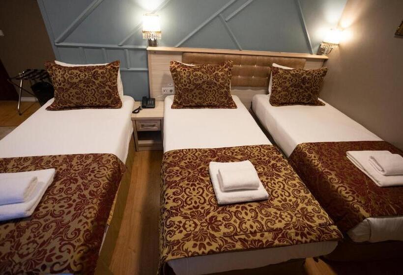 اتاق استاندارد سه نفره, Tashkonak Studio Suites