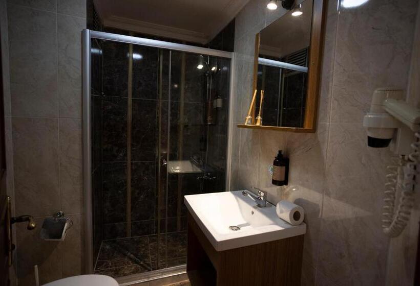 اتاق لوکس, Tashkonak Studio Suites