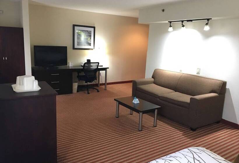 Номер Стандарт Адаптированный для Инвалидов, Best Western Patriots Point